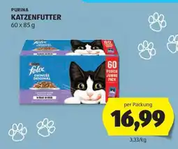 Hofer PURINA KATZENFUTTER Angebot