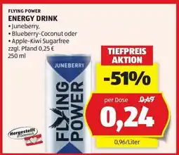 Hofer FLYING POWER ENERGY DRINK Angebot