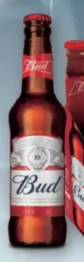 T&G American Bud Bier Angebot