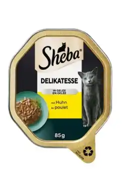dm Sheba Katzen Schale Classics Angebot