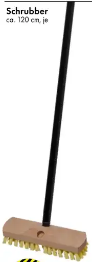 TEDi Schrubber Angebot