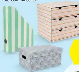 Hofer Home Creation Pappe Ordnungssystem Angebot