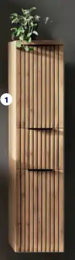 Hofer Bad-Midischrank Angebot