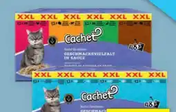 Hofer Cachet Classic Katzenfutter Angebot