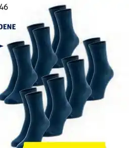 Hofer Up 2 Fashion Damen-Socken Angebot