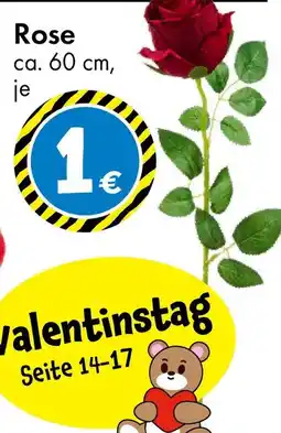 TEDi Rose Angebot