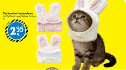 TEDi Tierkostüm Hasenohren Angebot
