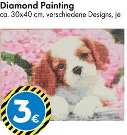 TEDi Diamond Painting Angebot