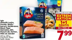 Billa Iglo Atlantik Lachs, Forelle, Wolfs- barsch, Goldbrasse, Black Tiger Garnelen, ASC, Dorsch MSC od. Zander Angebot