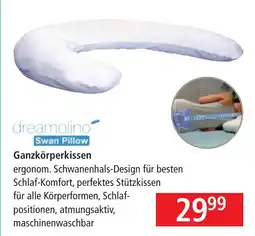Pagro Diskont Ganzkörperkissen Angebot
