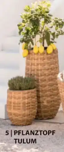 Dehner Pflanztopf tulum Angebot