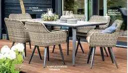 Dehner Geflechtsessel lissabon Angebot