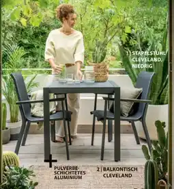 Dehner Stapelstuhl cleveland Angebot