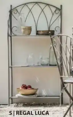 Dehner Regal luca Angebot