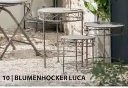 Dehner Blumenhocker luca Angebot