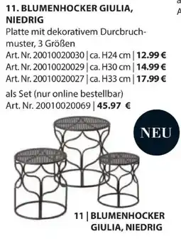 Dehner Blumenhocker giulia, niedrig Angebot
