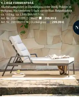 Dehner Liege formentera Angebot