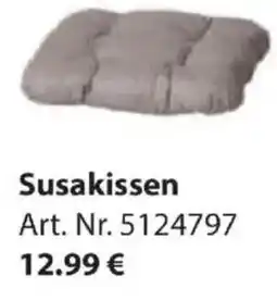 Dehner Susakissen Angebot