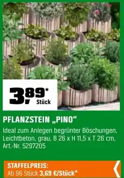 OBI Pflanzstein,,pino" Angebot