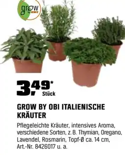 OBI Grow by obi italienische kräuter Angebot