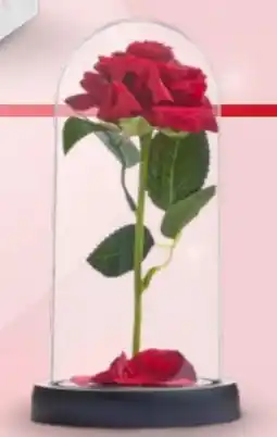 Woolworth Deko Kuppel Angebot