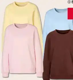 Woolworth Damen Sweatshirt Angebot