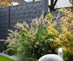 OBI Betonzaun-Platte Casa Borsika Angebot