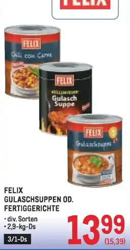 Metro Gulaschsuppen od. fertiggerichte Angebot