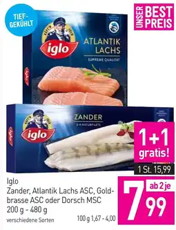 Sutterlüty Iglo Zander, Atlantik Lachs ASC, Gold- brasse ASC oder Dorsch MSC Angebot