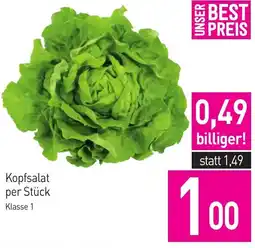 Sutterlüty Kopfsalat Angebot