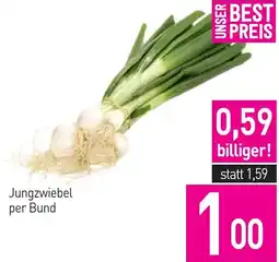 Sutterlüty Jungzwiebel Angebot