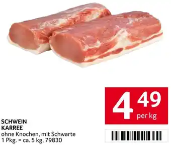 Schwein karree
