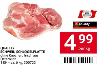 Quality schwein schlögelplatte