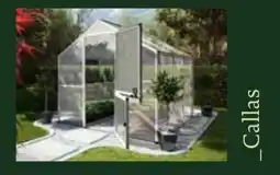 Dehner Callas Angebot