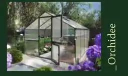 Dehner Orchidee Angebot