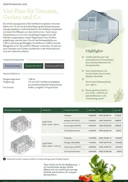 Dehner Gewächshaus lilie Angebot