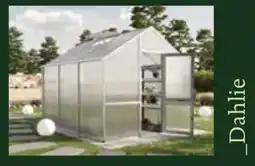 Dehner Dahlie Angebot