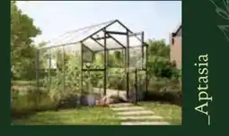 Dehner Aptasia Angebot