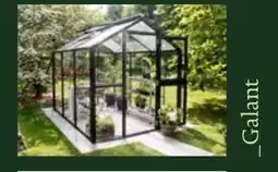 Dehner Galant Angebot