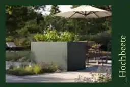 Dehner Hochbeete Angebot