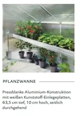 Dehner Pflanzwanne Angebot