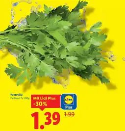 Lidl Petersilie Angebot