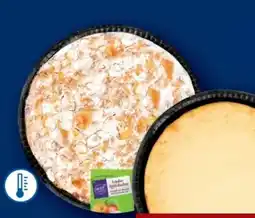 Lidl Kuchenzauber Kuchen Angebot