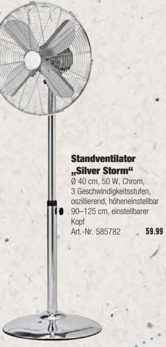Hellweg Standventilator Silver Storm Angebot