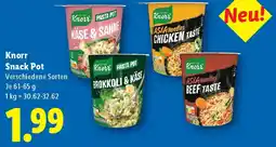 Lidl Knorr Snack Pot Angebot