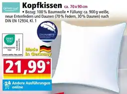Norma Kopfkissen Angebot