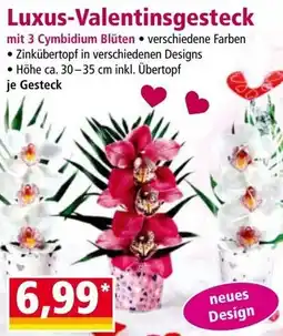 Norma Luxus Valentinsgesteck Angebot