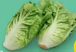 PENNY Marktliebe Salatherzen Angebot