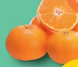 PENNY Marktliebe Mandarinen Angebot