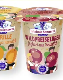 MPreis Erlebnis Sennerei Zillertal Heumilch Fruchtjoghurt Angebot